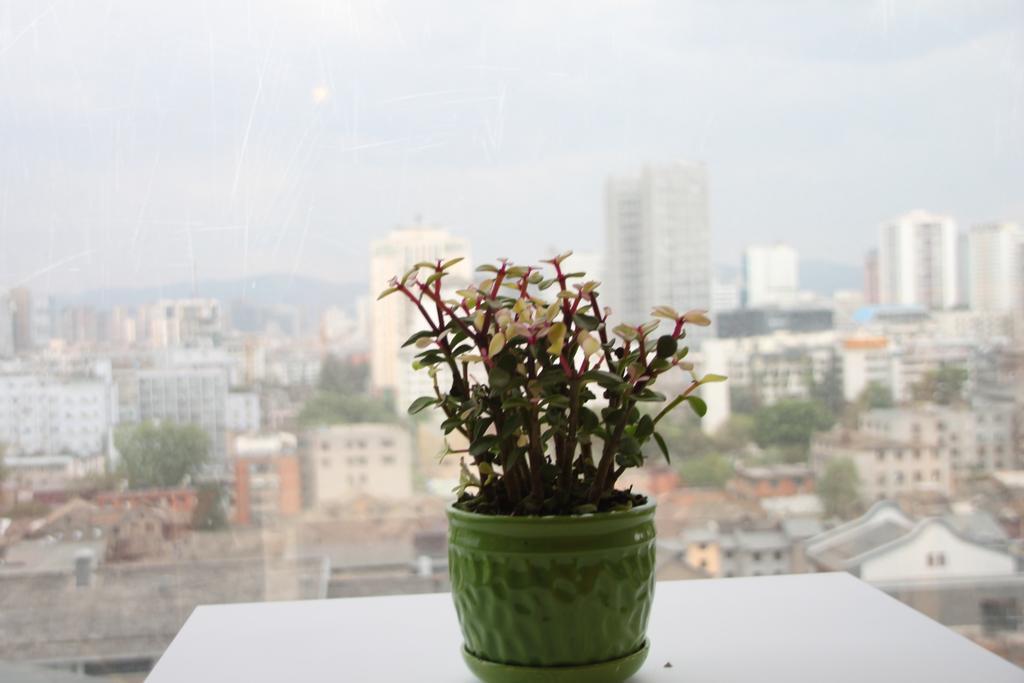 Kunming Cat Nest Female Youth Hostel Екстериор снимка